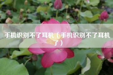 手机识别不了耳机（手机识别不了耳机了）