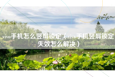 vivo手机怎么竖屏锁定（vivo手机竖屏锁定失效怎么解决）