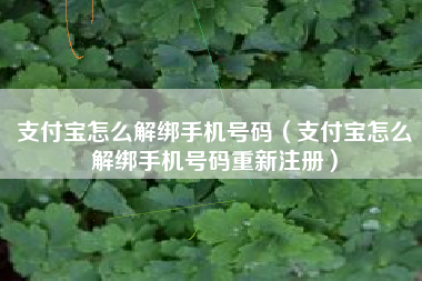 支付宝怎么解绑手机号码（支付宝怎么解绑手机号码重新注册）