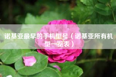 诺基亚最早的手机型号（诺基亚所有机型一览表）