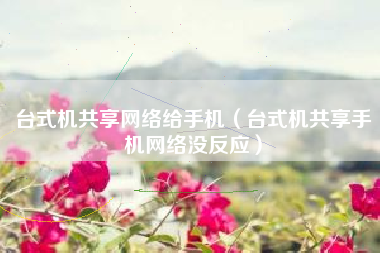 台式机共享网络给手机（台式机共享手机网络没反应）