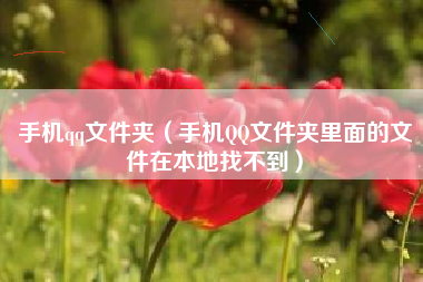 手机qq文件夹（手机QQ文件夹里面的文件在本地找不到）