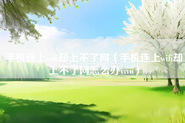 手机连上wifi却上不了网（手机连上wifi却上不了网怎么办vivo）