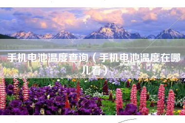 手机电池温度查询（手机电池温度在哪儿看）