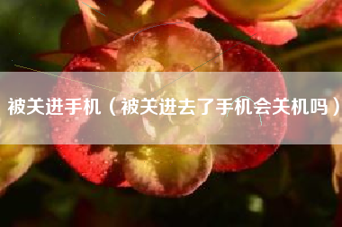 被关进手机（被关进去了手机会关机吗）