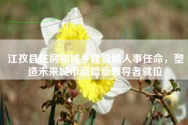 江孜县住房和城乡建设局人事任命，塑造未来城市新篇章领导者就位