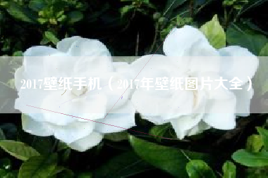 2017壁纸手机（2017年壁纸图片大全）