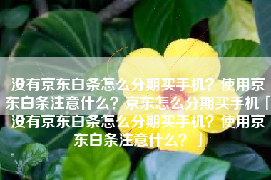 没有京东白条怎么分期买手机？使用京东白条注意什么？京东怎么分期买手机「没有京东白条怎么分期买手机？使用京东白条注意什么？」