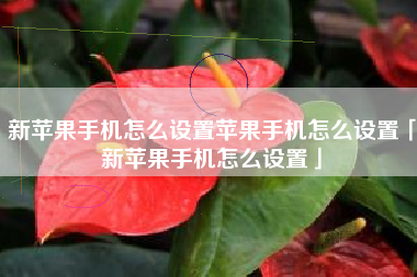 新苹果手机怎么设置苹果手机怎么设置「新苹果手机怎么设置」