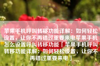 苹果手机呼叫转移功能详解：如何轻松设置，让你不再错过重要来电苹果手机怎么设置呼叫转移功能「苹果手机呼叫转移功能详解：如何轻松设置，让你不再错过重要来电」